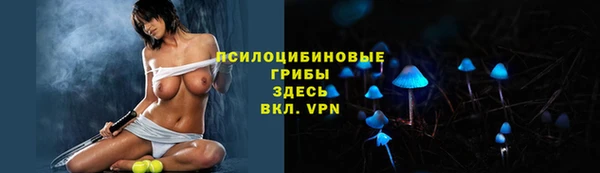а пвп мука Аркадак