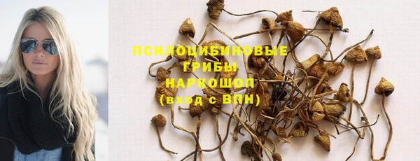 таблы Алексеевка